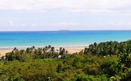 Palawan Wins Top Choice Among Foreign Retirees