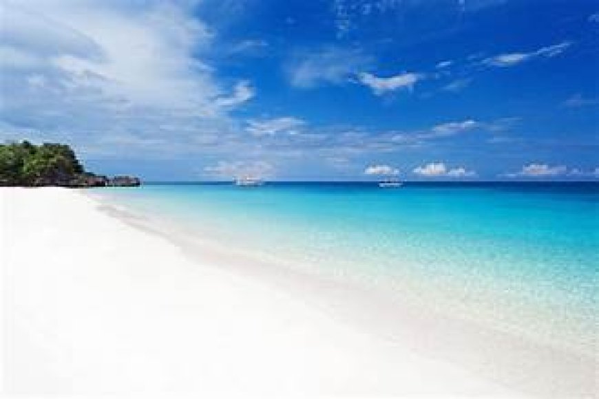 Boracay’s Dental Gem - Sands and Smiles Wins Hearts Across Prague and Central Europe